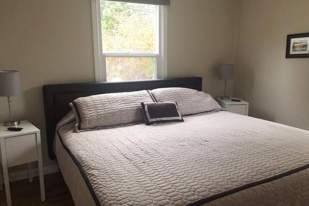 Cozy Crown Hill Carkeek Cottage W/3 Beds, Full Kitchen & Backyard In North 西雅图 外观 照片